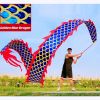 DSJUGGLING 3D Dragon Poi with 340g Weighted Ball & 1.1 Meters Swing Rope - Silk Flowy Shaking & Flinging Chinese Golden Dragon Ribbon Streamer + Trave