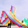 19.6ft Washable Silk-like Dragon Poi with Adjustable Wand, 6 meters of Outdoor Flinging Fitness Dance with 3D Rainbow Color Dragon Ribbon Streamer Set