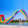 19.6ft Washable Silk-like Dragon Poi with Adjustable Wand, 6 meters of Outdoor Flinging Fitness Dance with 3D Rainbow Color Dragon Ribbon Streamer Set